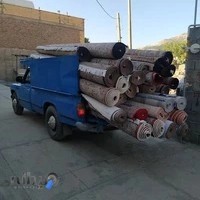 قالی شویی ساحل