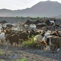 کارگزاری صندوق بیمه اجتماعی روستایان وعشایر69105