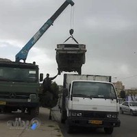 جرثقیل داران سقز