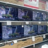 فروشگاه اینترنتی دبی کوچولو