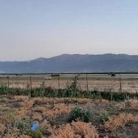 باغ رستوران ژینگه