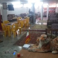 تبلیغاتی نیما