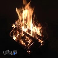 کافی نت آنلاین