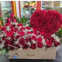 گلکده باران