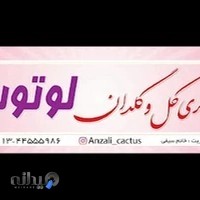 گالری گل و گلدان لوتوس