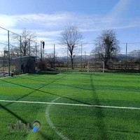 چمن مصنوعی فینال