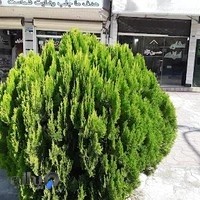 مشاور املاک حسین نژاد