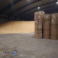 شرکت پشتیبان بندر ساحل شمال