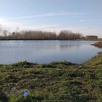 استخر پرورش ماهی فصیحی