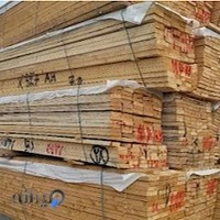 بورس چوب نراد روسی خوشگو