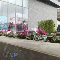 مجتمع تجاری هپی مارت