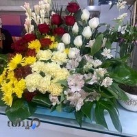 گل فروشی یادبود رز سفید