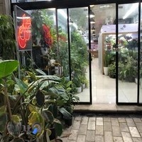 گل فروشی رز مشکی