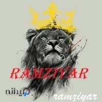 کافی نت نظری