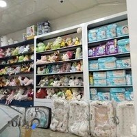 سیسمونی آنامیس
