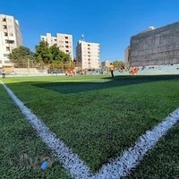 زمین فوتبال چمن مصنوعی داماهی