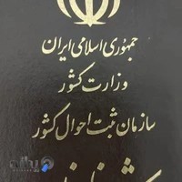 پیتزا قارچ کوچولو