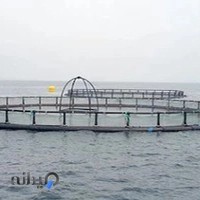 شرکت فرآوری ماهی خشک صیادان جوان جاسک | پودر ماهی صیادان