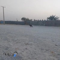 باغ شازده بندرعباس