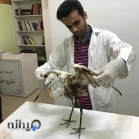 کلینیک دامپزشکی