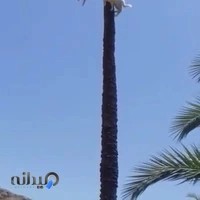 زمین ورزشی شهسوار