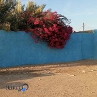 دیوار عکاسی