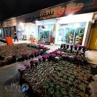 گلفروشی سفیرسبز