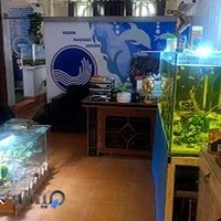 مرکز ماساژ اقیانوس