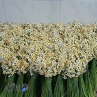 سالن زیبایی شایسته