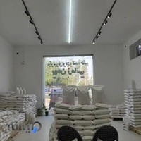 شالیکوبی بهمن زمانی