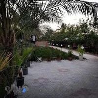 کافه سنتی نخل