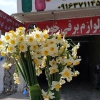 تنظیم موتور و برق کاری استاد صادق