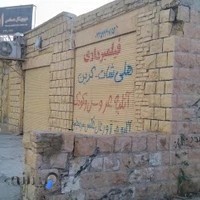 عکاسی اقاقیا