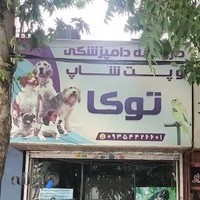 داروخانه دامپزشکی و پت شاپ توکا