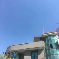 کلینیک دامپزشکی تخصصی کالج