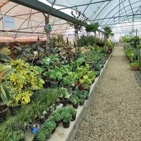 نمایشگاه گل و گیاه بیلچه سبز