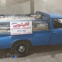 قالیشویی شاهانی