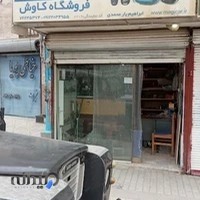 دزدگیر کاوش