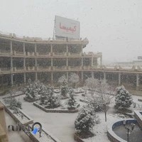 شیمیایی و کشاورزی امرتات انواع کود کشاورزی