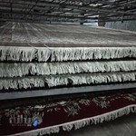 قالیشویی شهریار