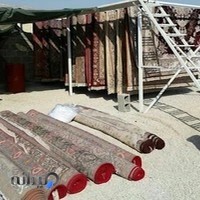 کارخانه قالی شویی مدرن شیخی