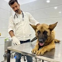 کلینیک دامپزشکی دکتر سیامند باستانی