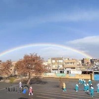 مدرسه شهید انور امینی