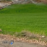 باشگاه سوارکاری مانی