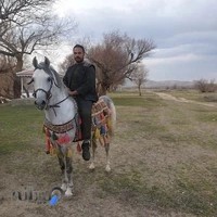 باشگاه سوارکاری آذربایجان