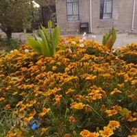 باشگاه سوارکاری آلاچیق (طاهر باقرفام)