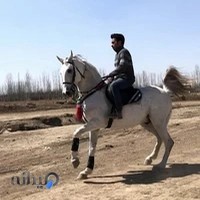 باشگاه سوارکاری کرال