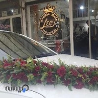 پیرایش مردانه لئو