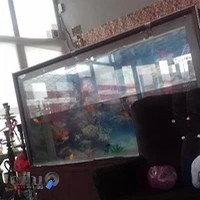 کافی شاپ سوژا