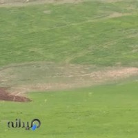 بورس لوازم استوک خودرو حسن اسماعیلی